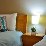 Spacious & Bright Apt In Beautiful Colonia Roma