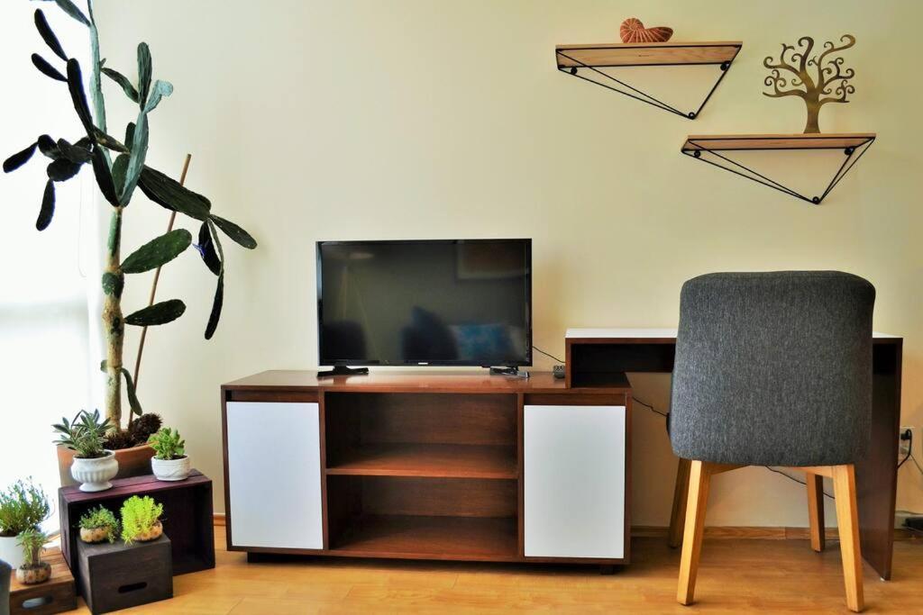 Apartment Spacious & Bright In Beautiful Colonia Roma