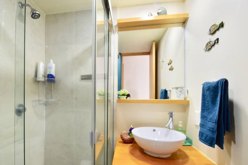 Apartment Spacious & Bright In Beautiful Colonia Roma Mexico City